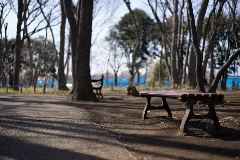 f:id:preciousjunk:20200224180321j:plain