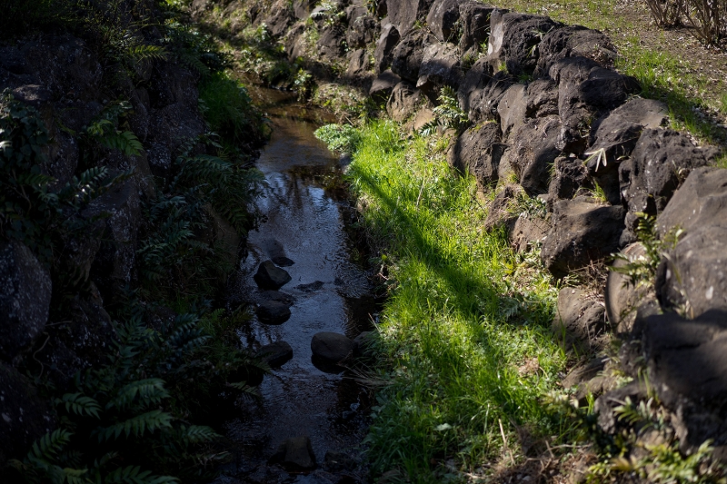 f:id:preciousjunk:20200224180324j:plain