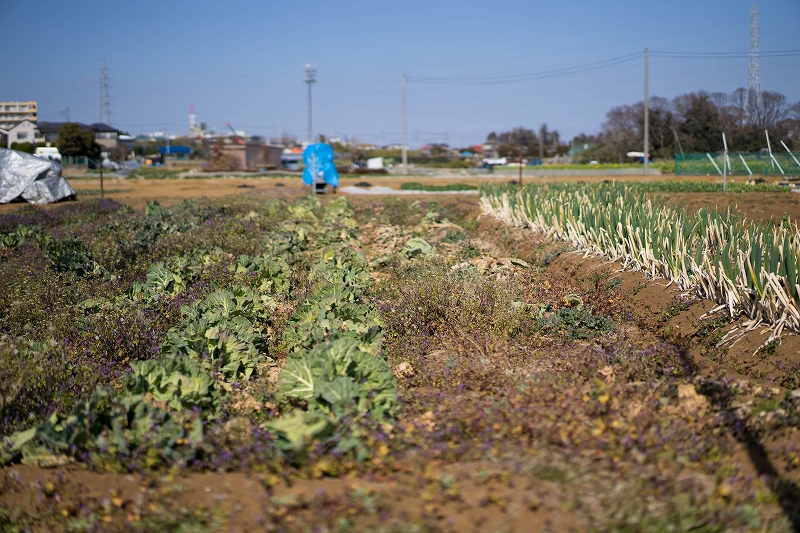 f:id:preciousjunk:20200224180330j:plain