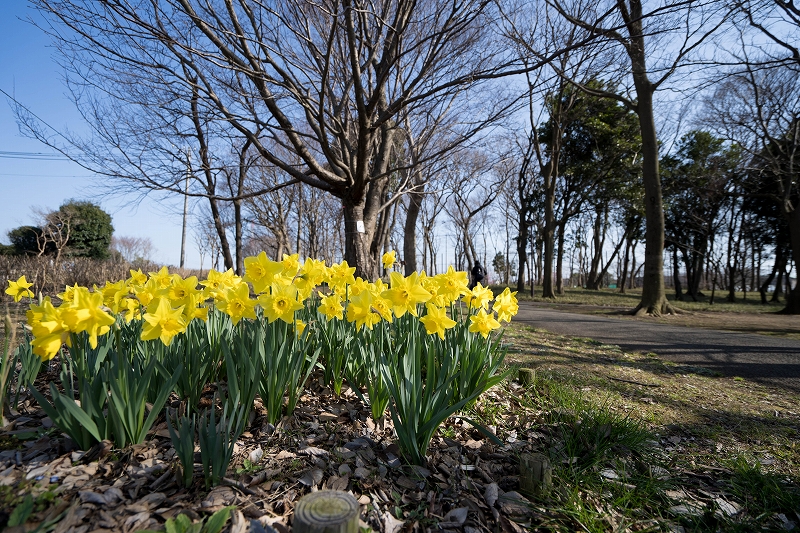 f:id:preciousjunk:20200224180334j:plain