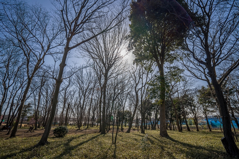 f:id:preciousjunk:20200224180337j:plain