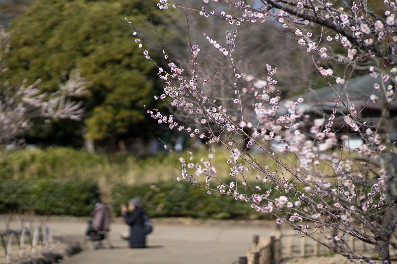 f:id:preciousjunk:20200229152226j:plain