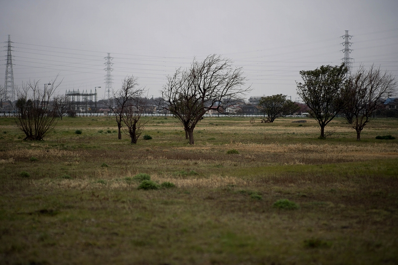 f:id:preciousjunk:20200314170202j:plain