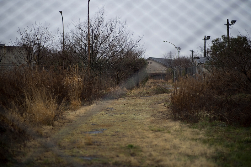 f:id:preciousjunk:20200314170205j:plain