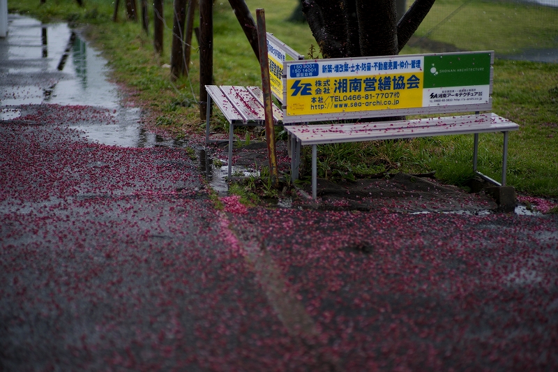 f:id:preciousjunk:20200314170229j:plain