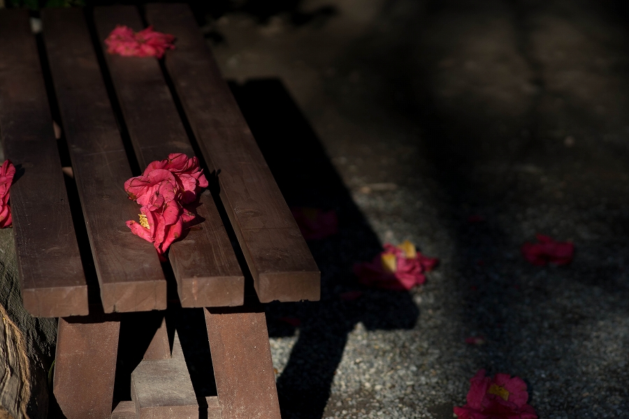 f:id:preciousjunk:20200320111334j:plain