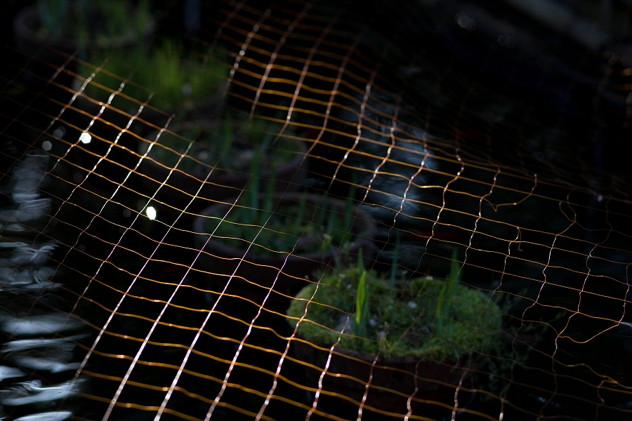 f:id:preciousjunk:20200320111340j:plain