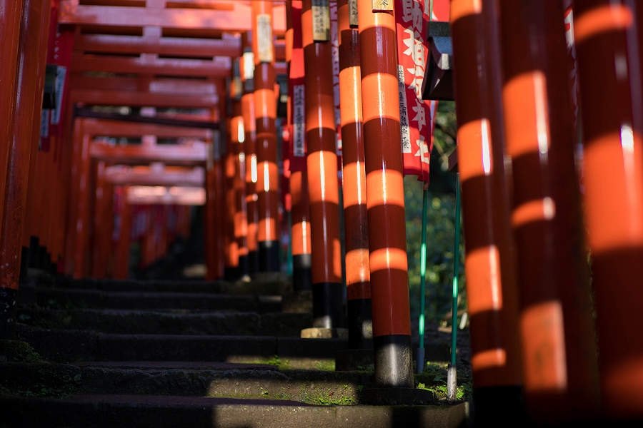 f:id:preciousjunk:20200320111444j:plain