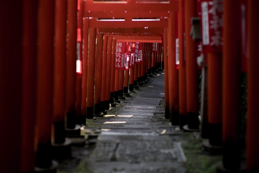 f:id:preciousjunk:20200320111451j:plain