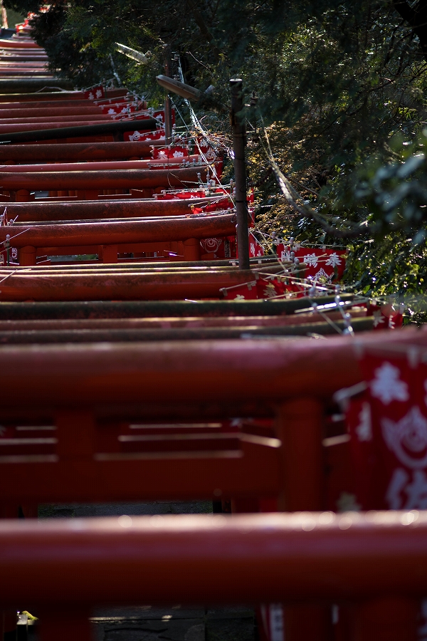 f:id:preciousjunk:20200320111522j:plain