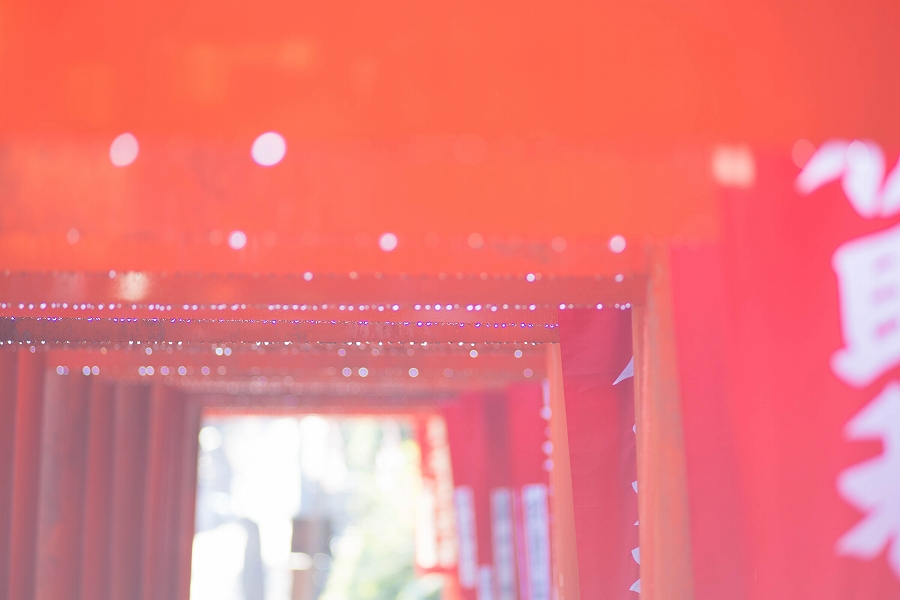 f:id:preciousjunk:20200320111534j:plain