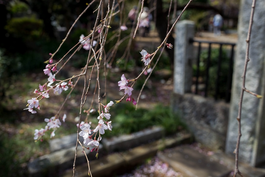 f:id:preciousjunk:20200322163454j:plain