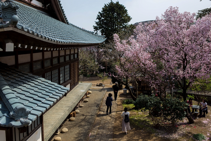 f:id:preciousjunk:20200322163502j:plain