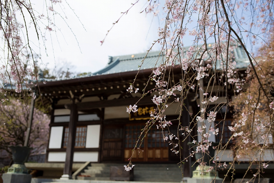 f:id:preciousjunk:20200322163510j:plain