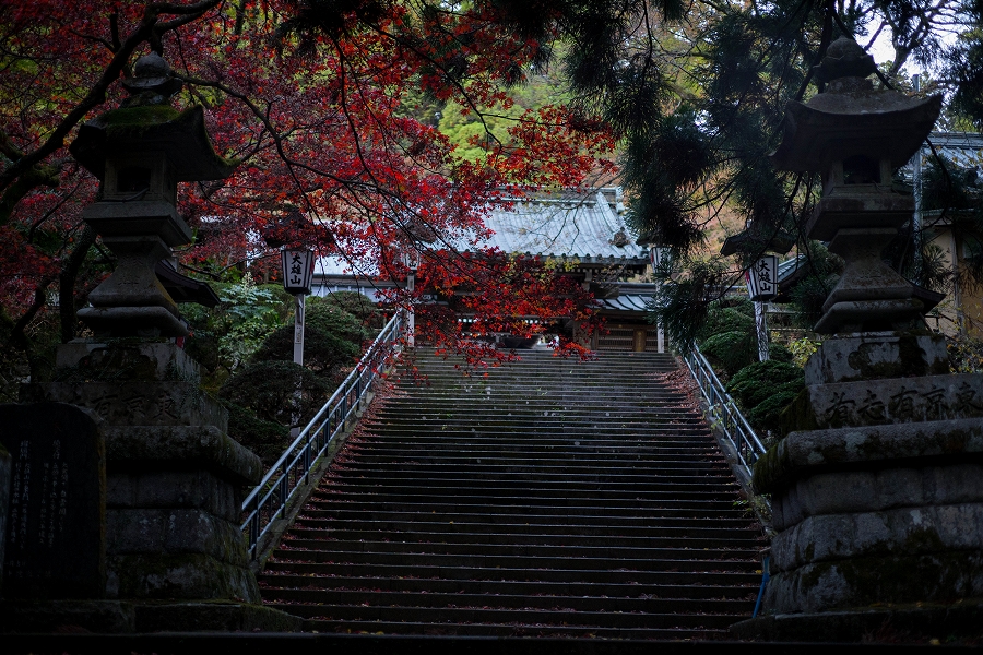 f:id:preciousjunk:20201129173243j:plain