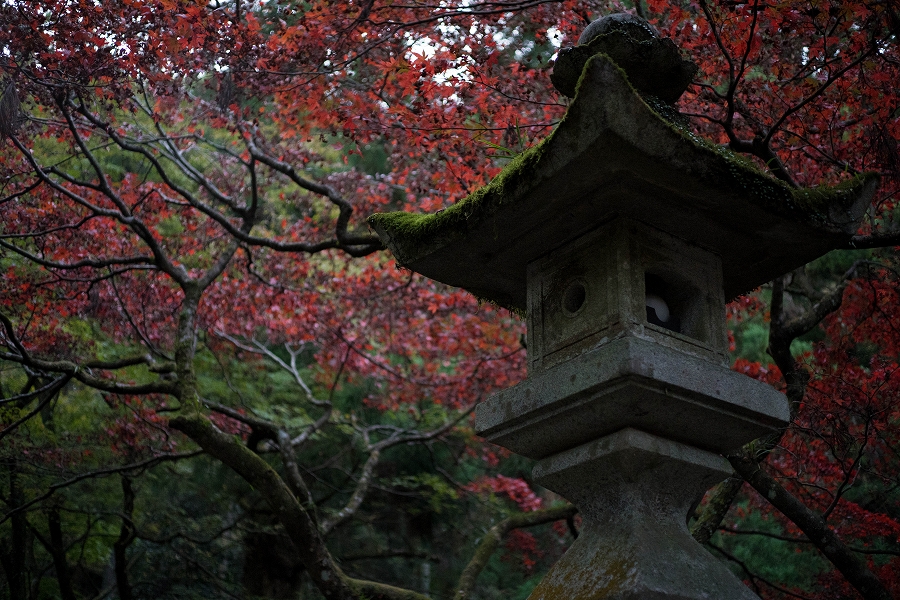 f:id:preciousjunk:20201129173251j:plain