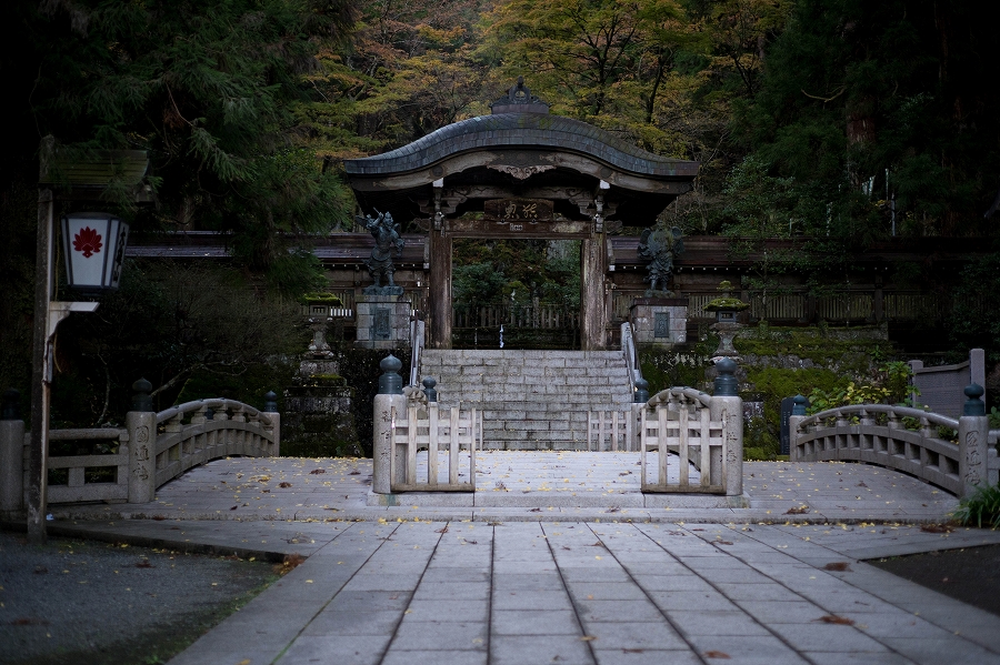 f:id:preciousjunk:20201129173303j:plain