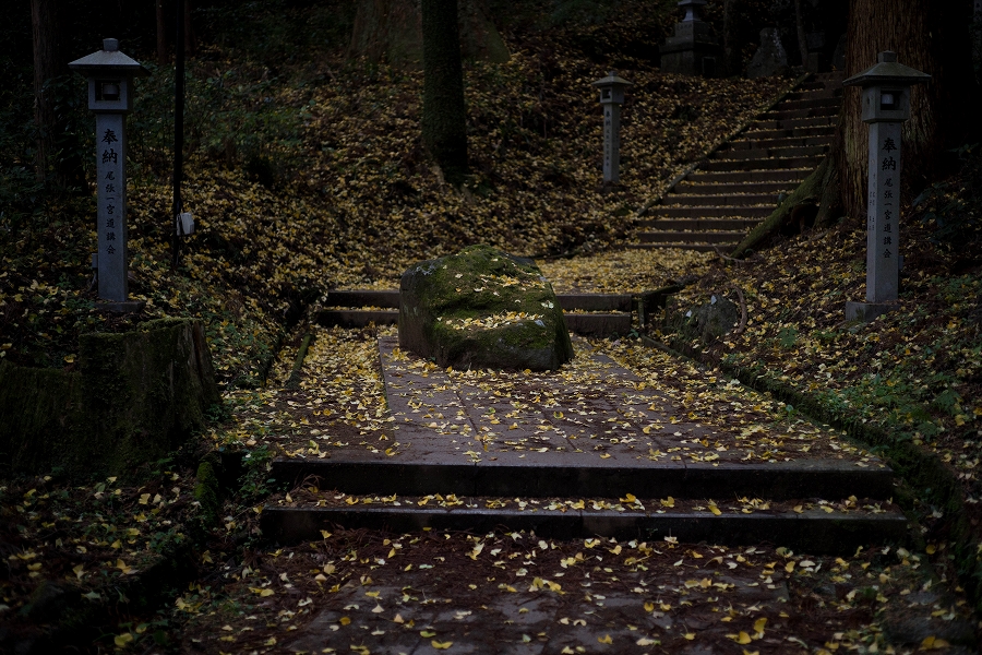 f:id:preciousjunk:20201129173321j:plain