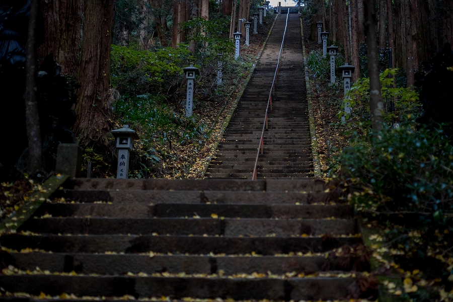 f:id:preciousjunk:20201129173328j:plain