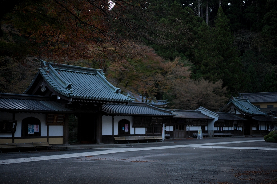 f:id:preciousjunk:20201129173339j:plain