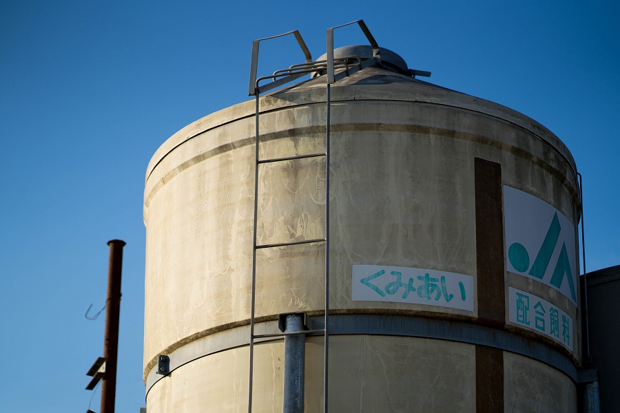 f:id:preciousjunk:20210123223439j:plain