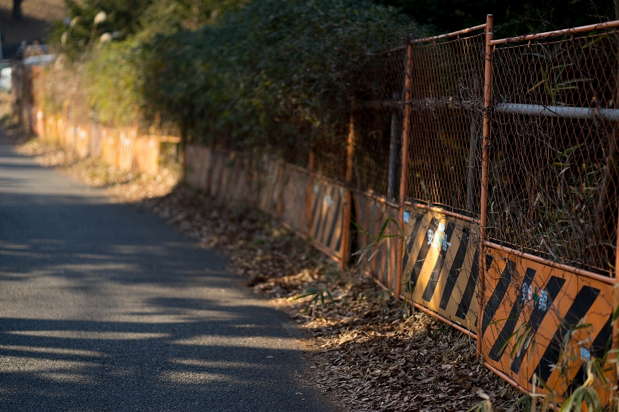 f:id:preciousjunk:20210123223450j:plain