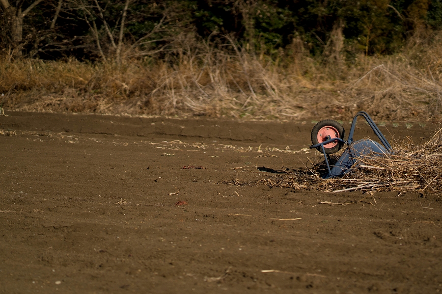 f:id:preciousjunk:20210123223505j:plain