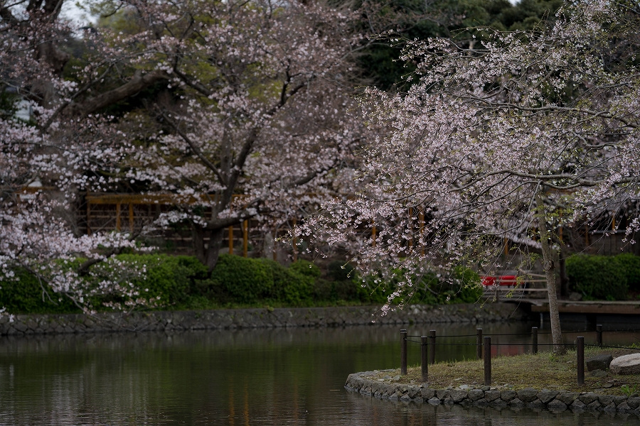 f:id:preciousjunk:20210325234011j:plain