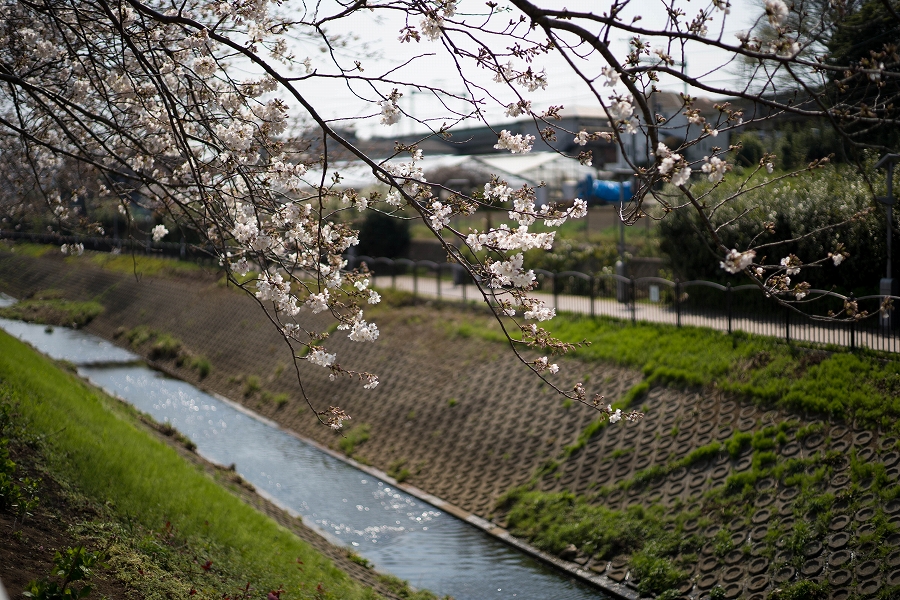 f:id:preciousjunk:20210402233324j:plain