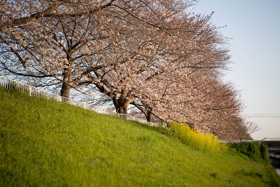 f:id:preciousjunk:20210402233337j:plain