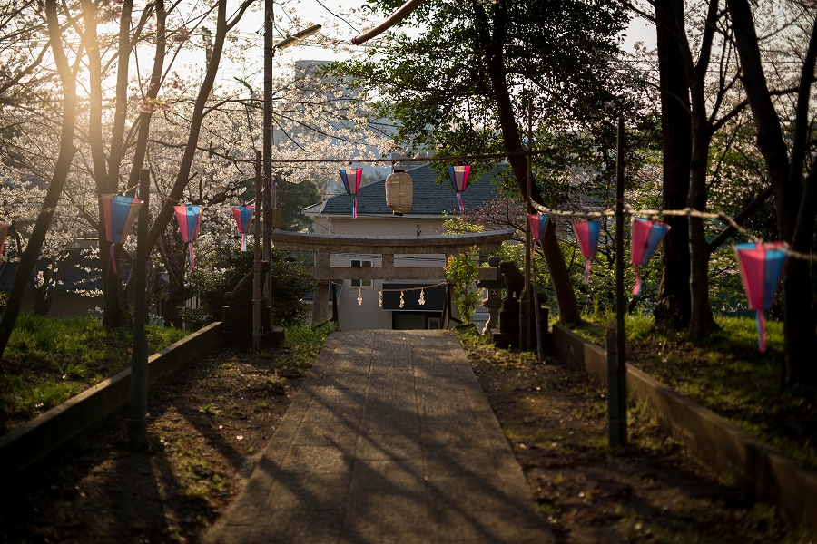 f:id:preciousjunk:20210402233340j:plain