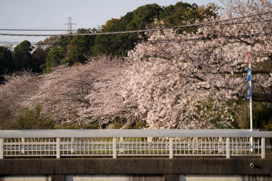 f:id:preciousjunk:20210402233343j:plain