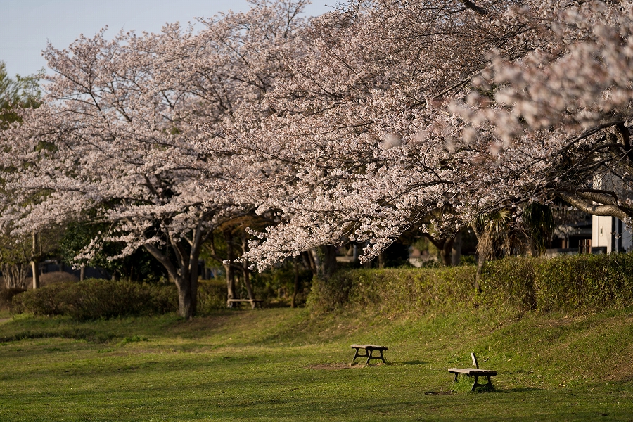 f:id:preciousjunk:20210402233349j:plain