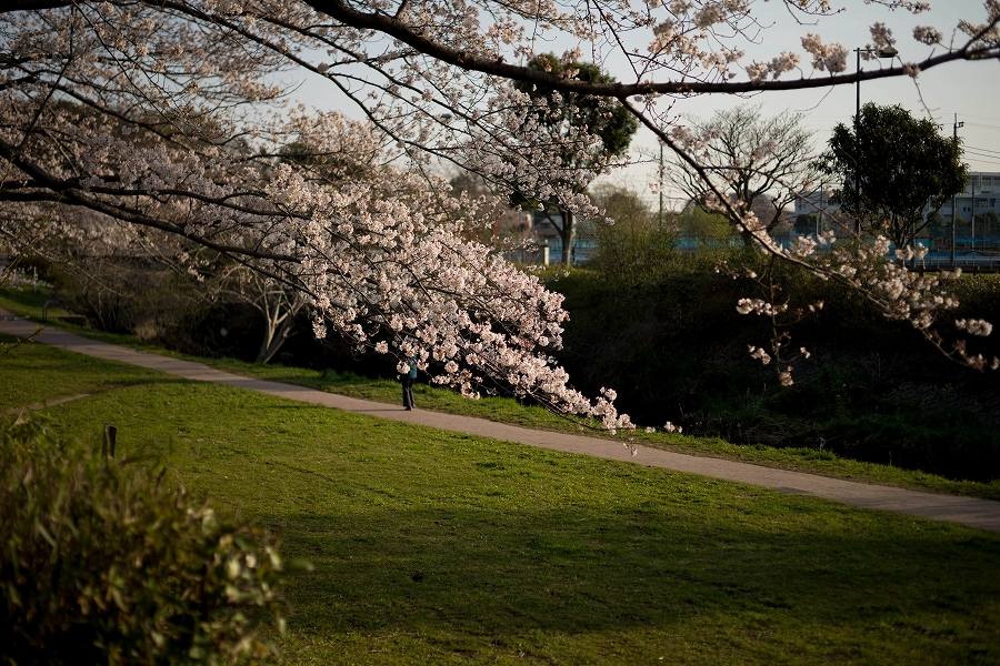 f:id:preciousjunk:20210402233353j:plain