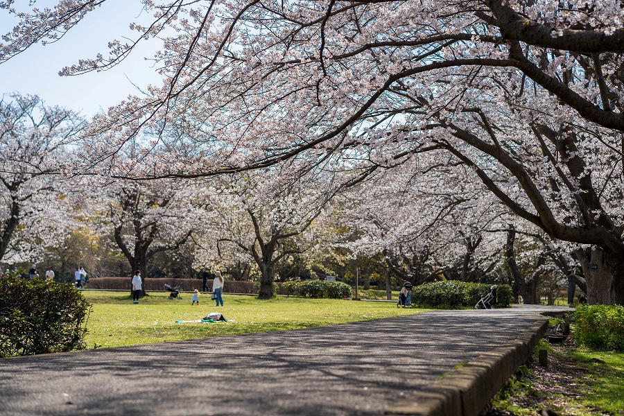 f:id:preciousjunk:20210402233401j:plain