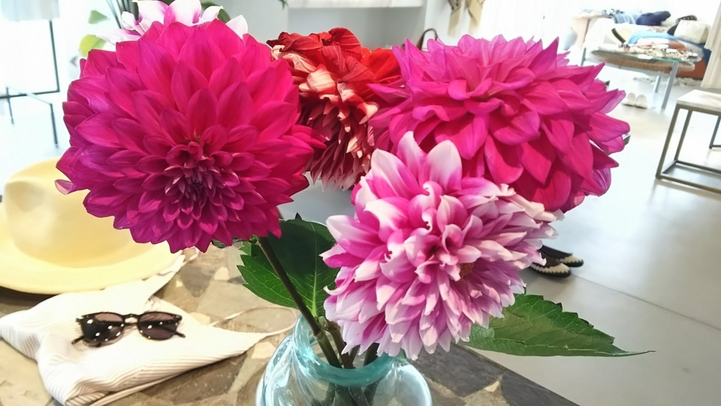 f:id:preciousmadam:20180516113651j:plain f:id:preciousmadam:20180516113651j:plain