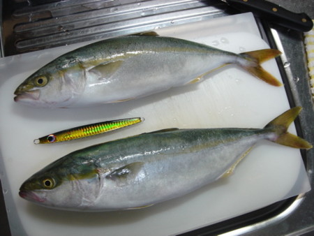 f:id:predator2k5:20090907005227j:image