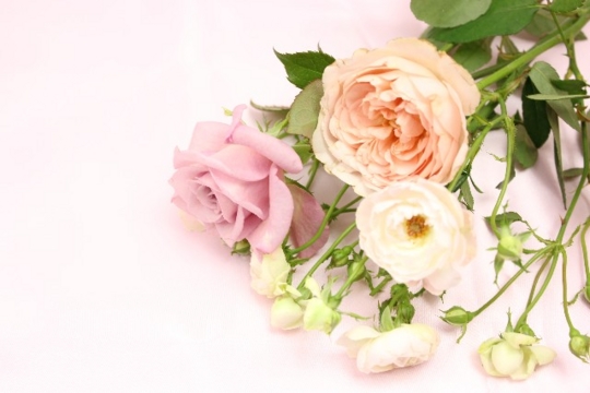 f:id:present_for:20150311182550j:image f:id:present_for:20150311182550j:image