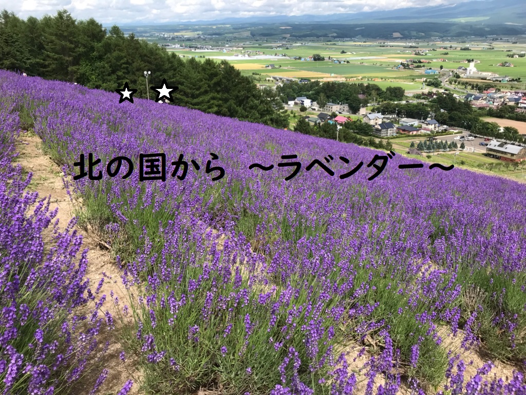 f:id:pretty-minnie:20180810154528j:plain f:id:pretty-minnie:20180810154528j:plain
