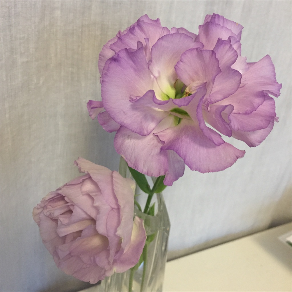 f:id:priere-vie:20161026145133j:image f:id:priere-vie:20161026145133j:image