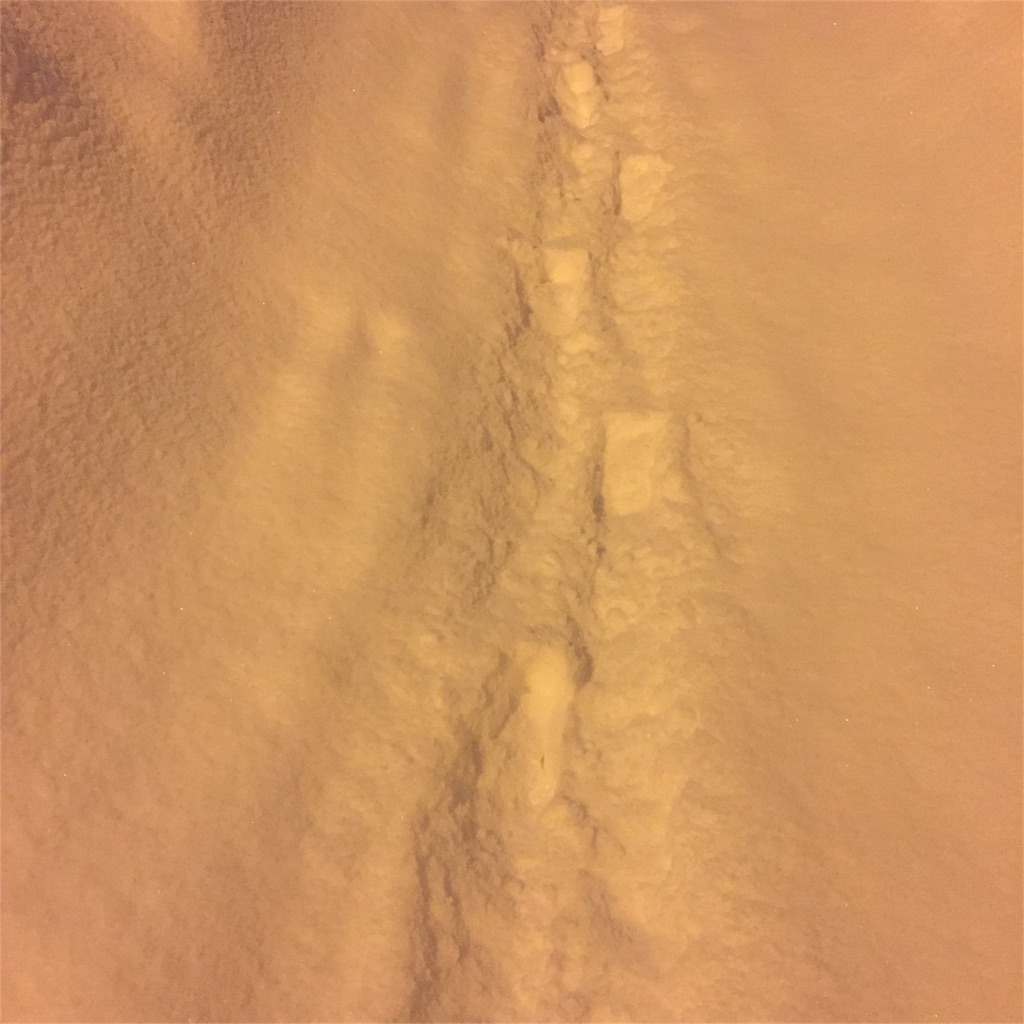 f:id:priere-vie:20161216013546j:image f:id:priere-vie:20161216013546j:image