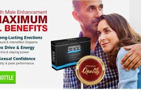 f:id:primalcorefact:20191218141414j:plain