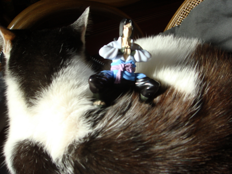 f:id:prime503:20100126152359j:image