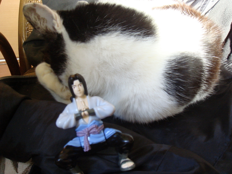 f:id:prime503:20100126152552j:image