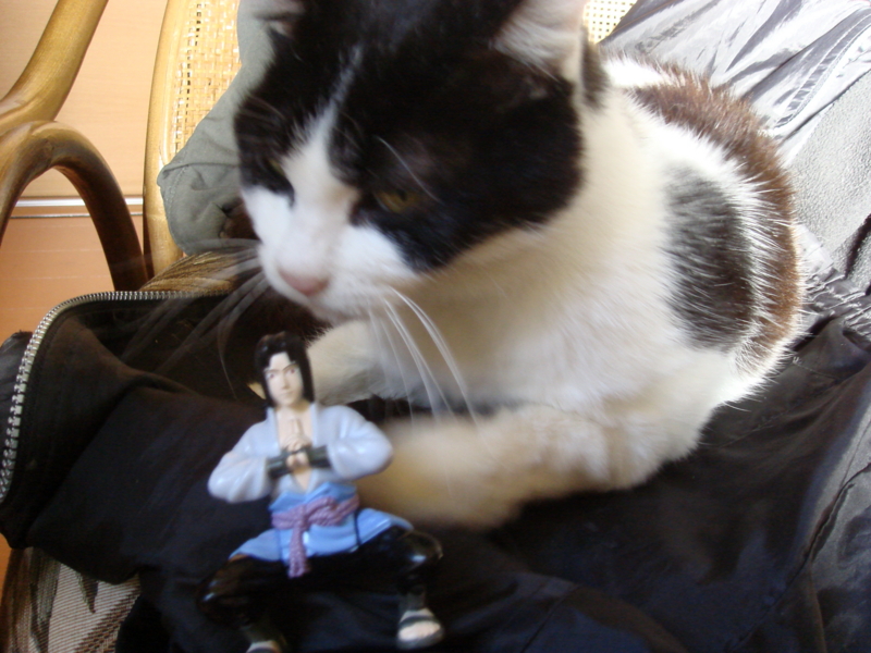 f:id:prime503:20100126152601j:image