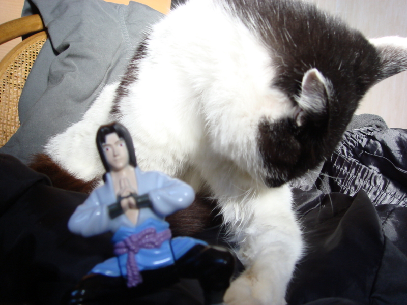 f:id:prime503:20100126152609j:image