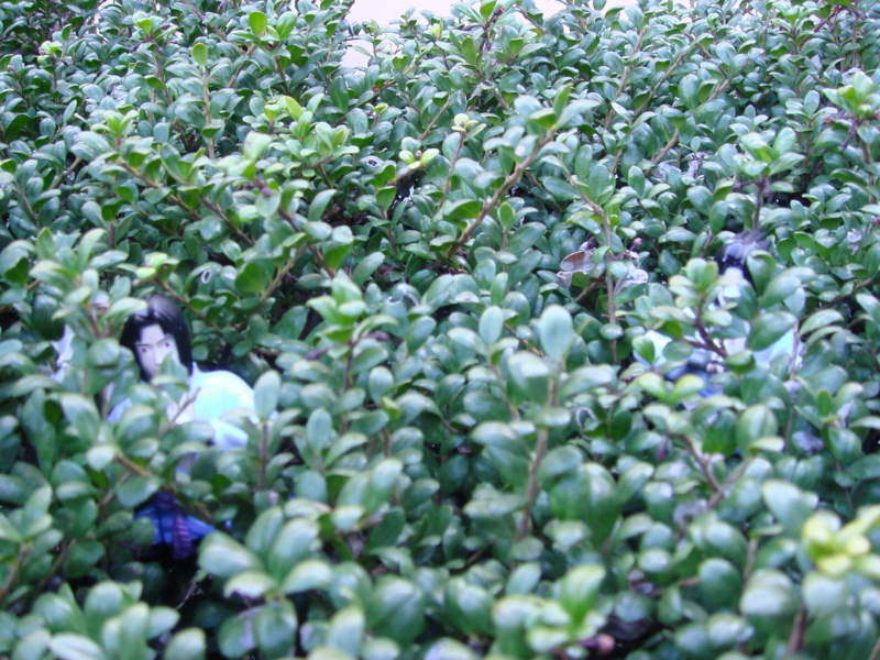 f:id:prime503:20100126152808j:image
