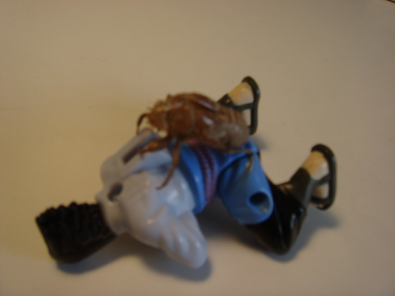 f:id:prime503:20100126153434j:image