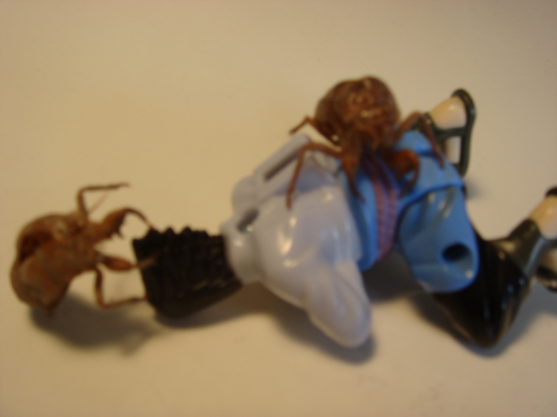 f:id:prime503:20100126153500j:image
