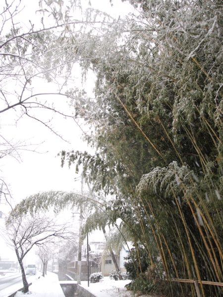 f:id:prime503:20110214155400j:image